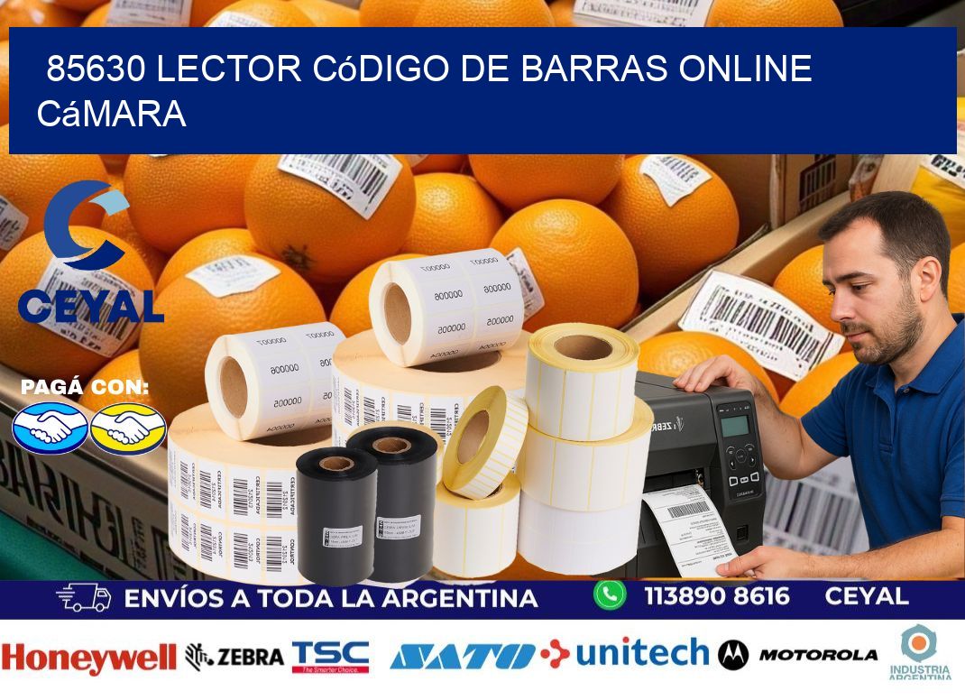 85630 Lector código de barras online cámara