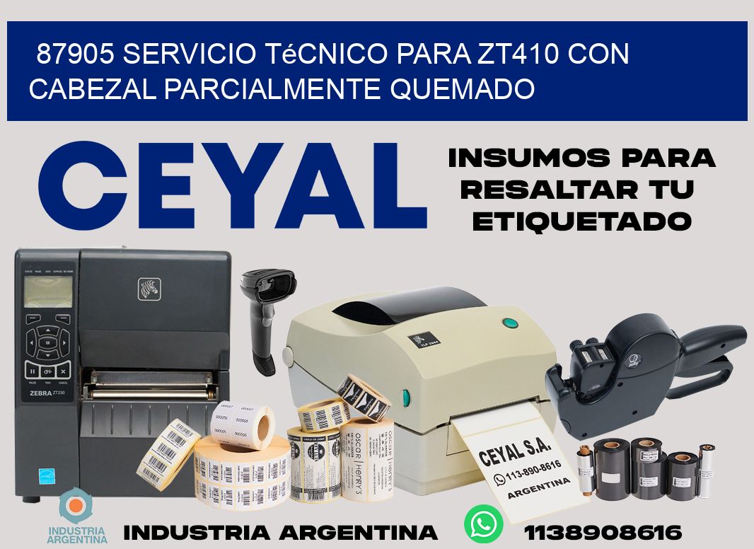 87905 servicio técnico para zt410 con cabezal parcialmente quemado
