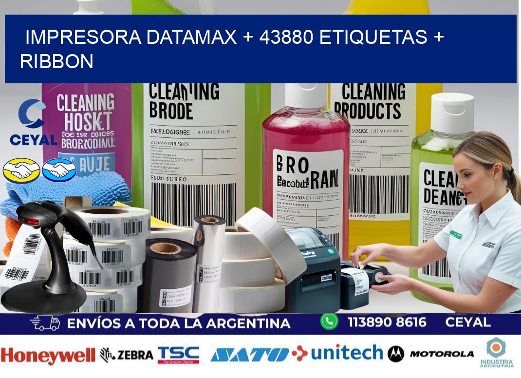 impresora DATAMAX + 43880 etiquetas + ribbon