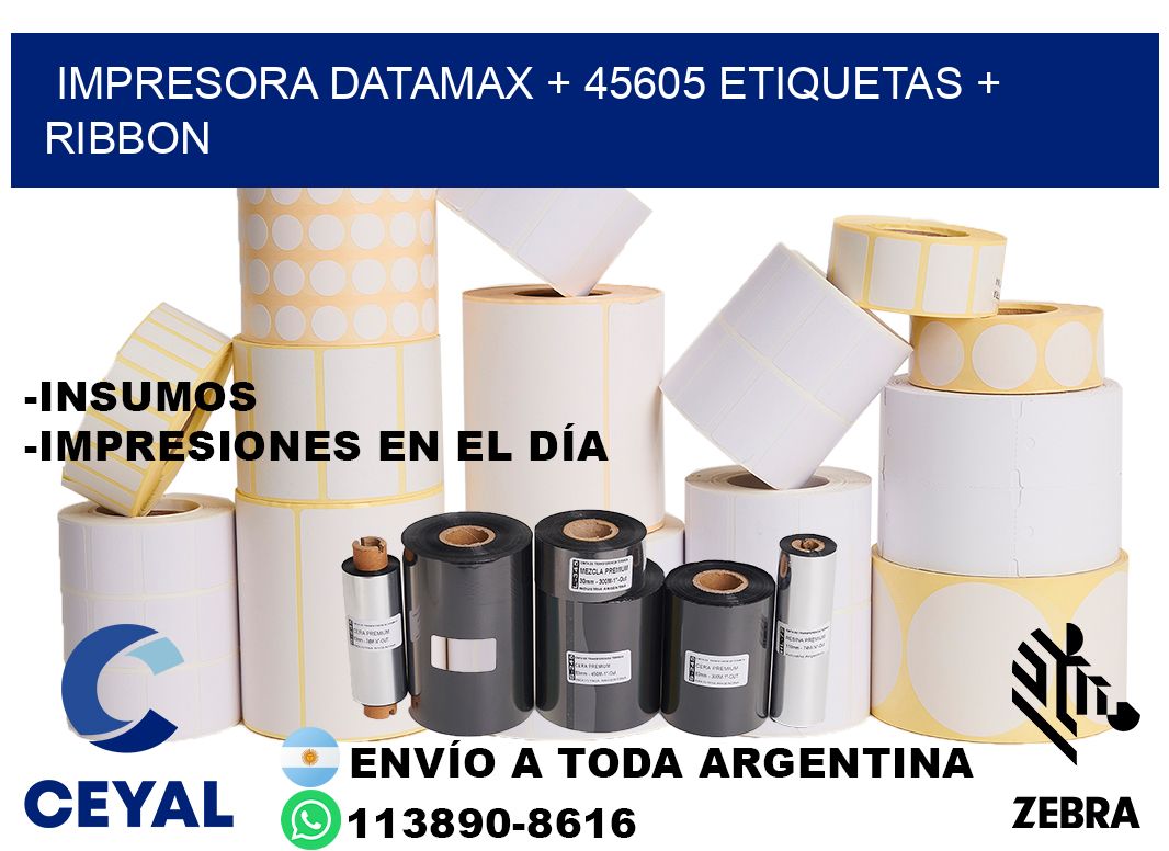 impresora DATAMAX + 45605 etiquetas + ribbon