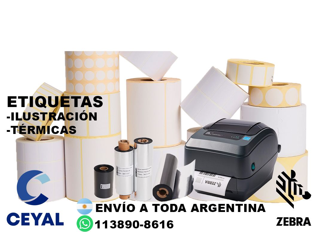 impresora zebra zd221 + 48510 etiquetas + ribbon