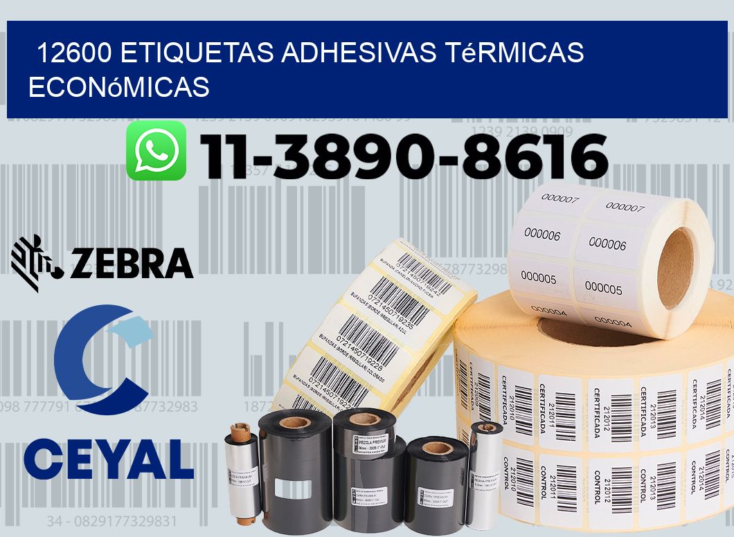 12600 etiquetas adhesivas térmicas económicas