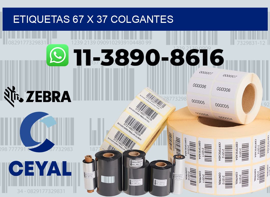 etiquetas 67 x 37 colgantes