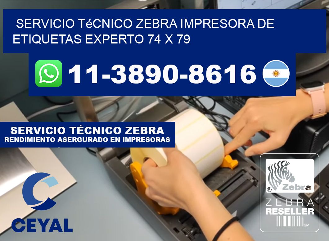 Servicio Técnico Zebra Impresora de Etiquetas Experto 74 x 79