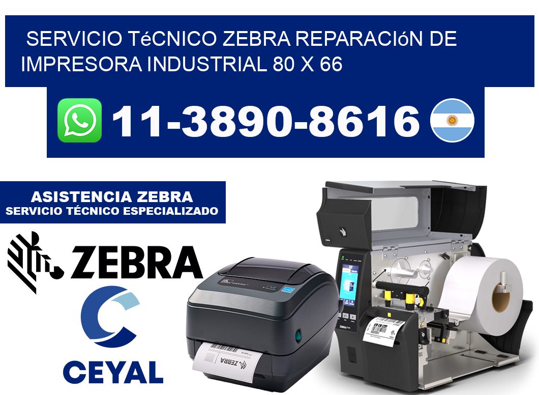 Servicio Técnico Zebra Reparación de Impresora Industrial 80 x 66
