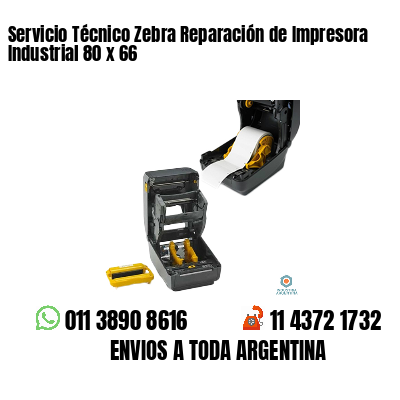 Servicio Técnico Zebra Reparación de Impresora Industrial 80 x 66