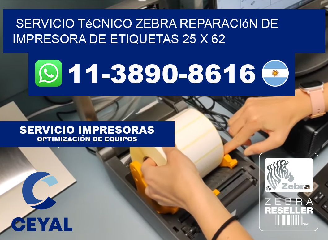 Servicio Técnico Zebra Reparación de Impresora de Etiquetas 25 x 62