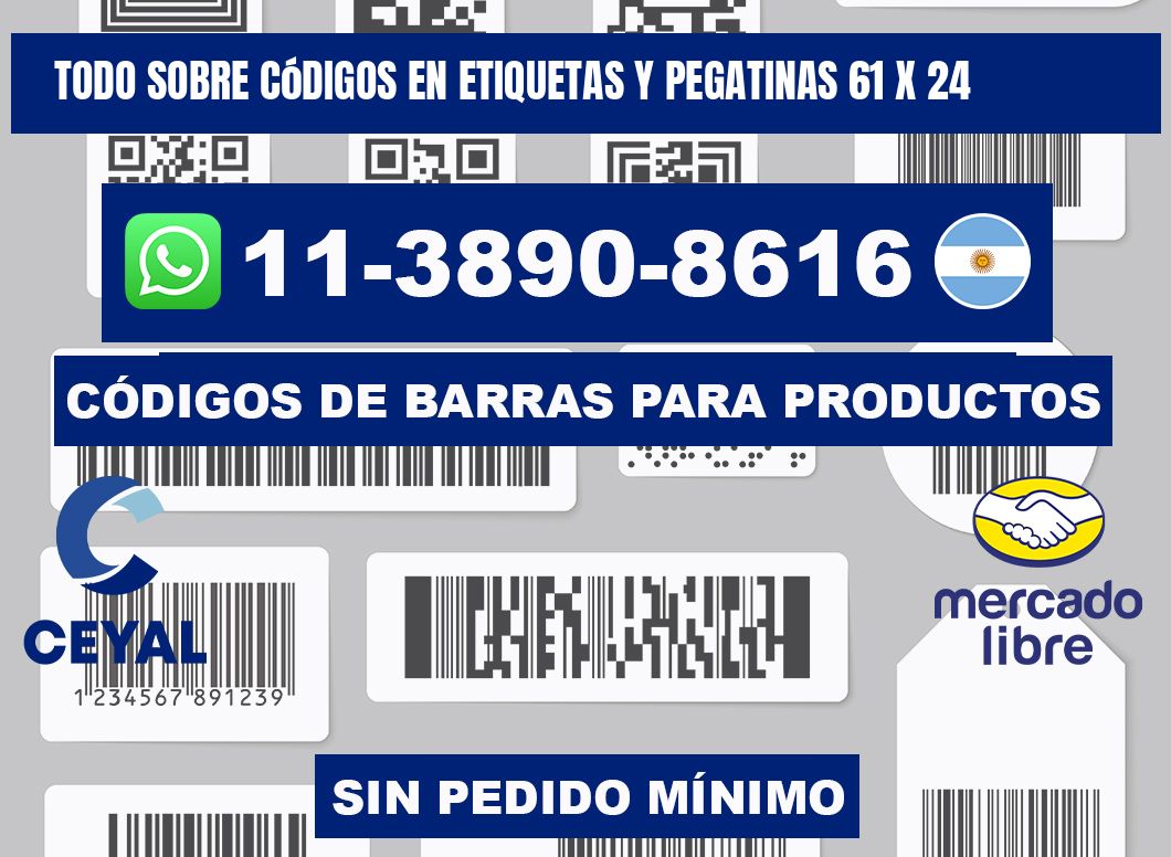 Todo sobre códigos en etiquetas y pegatinas 61 x 24