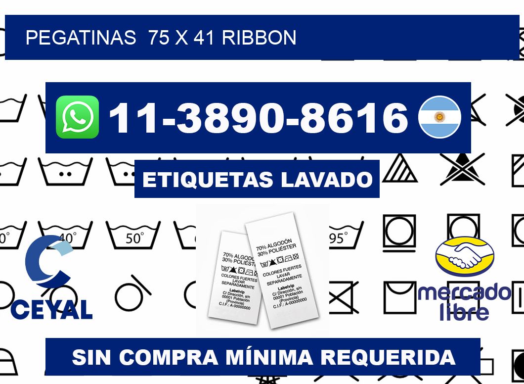 pegatinas  75 x 41 ribbon