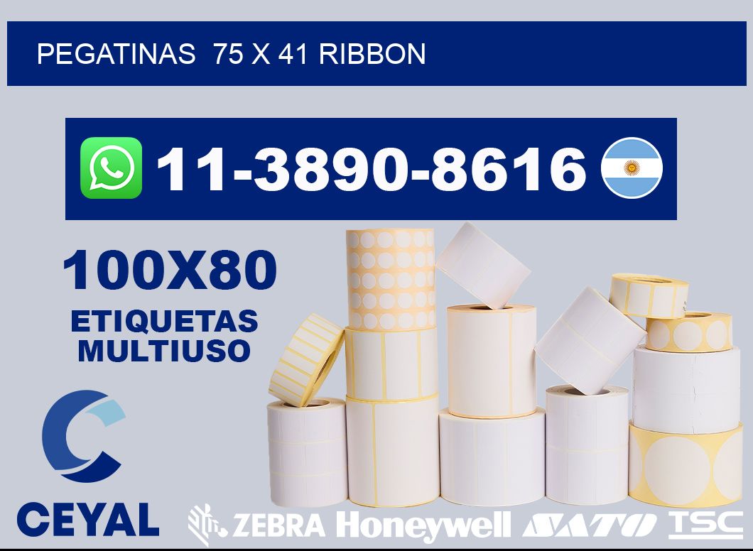 pegatinas  75 x 41 ribbon