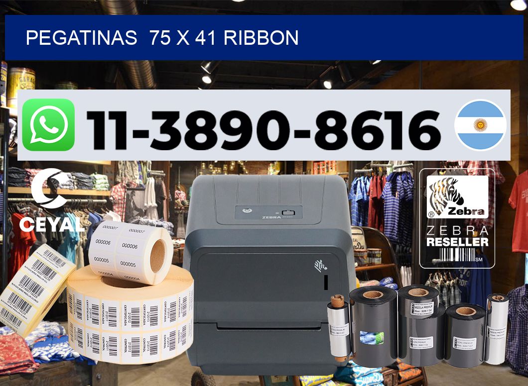 pegatinas  75 x 41 ribbon