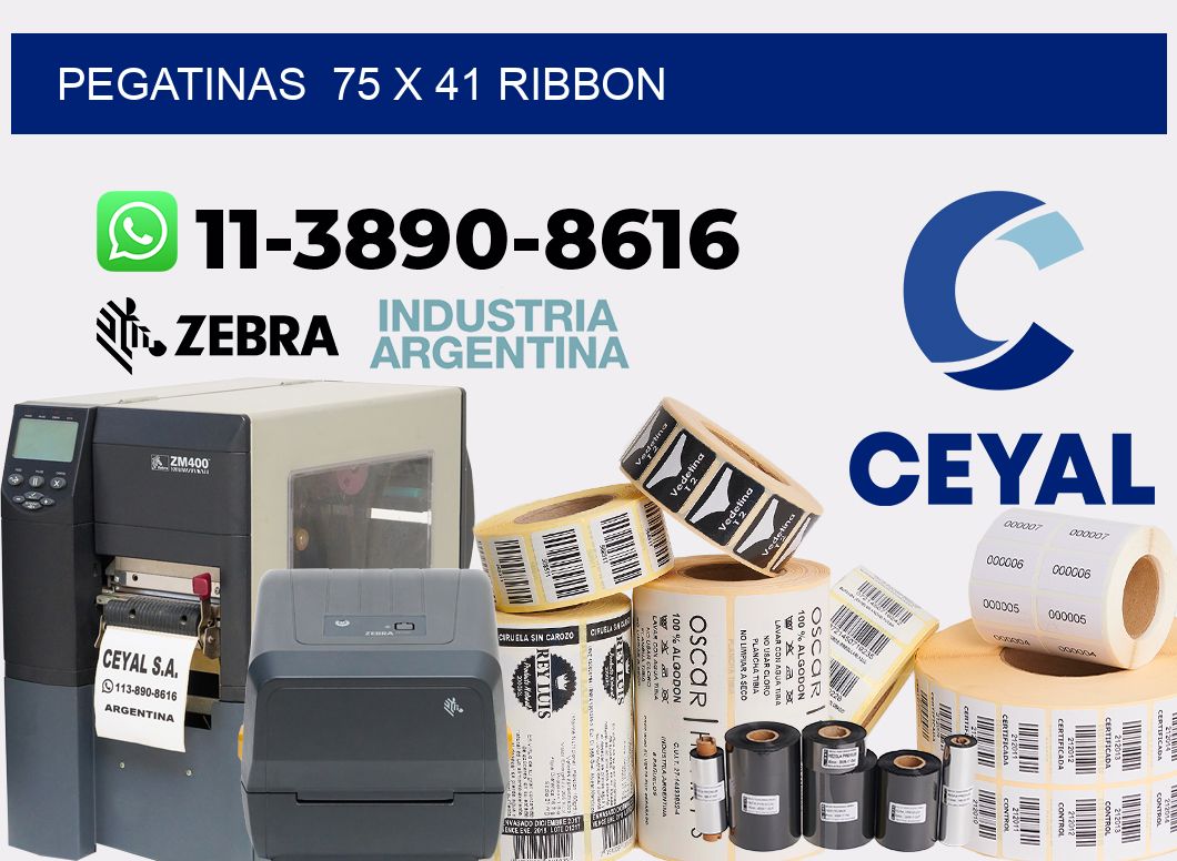 pegatinas  75 x 41 ribbon