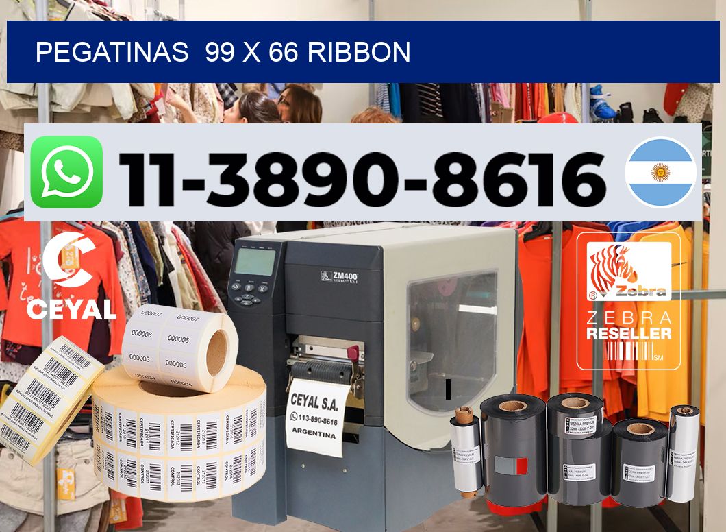 pegatinas  99 x 66 ribbon