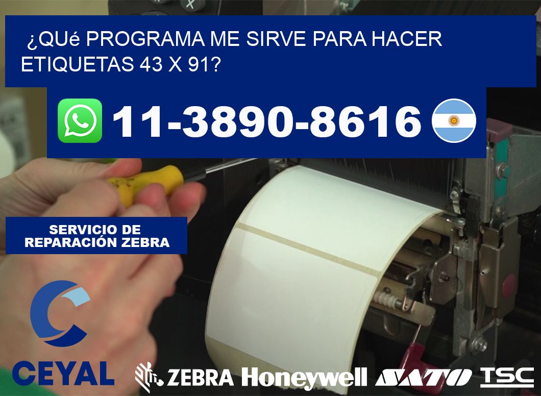 ¿Qué programa me sirve para hacer etiquetas 43 x 91?