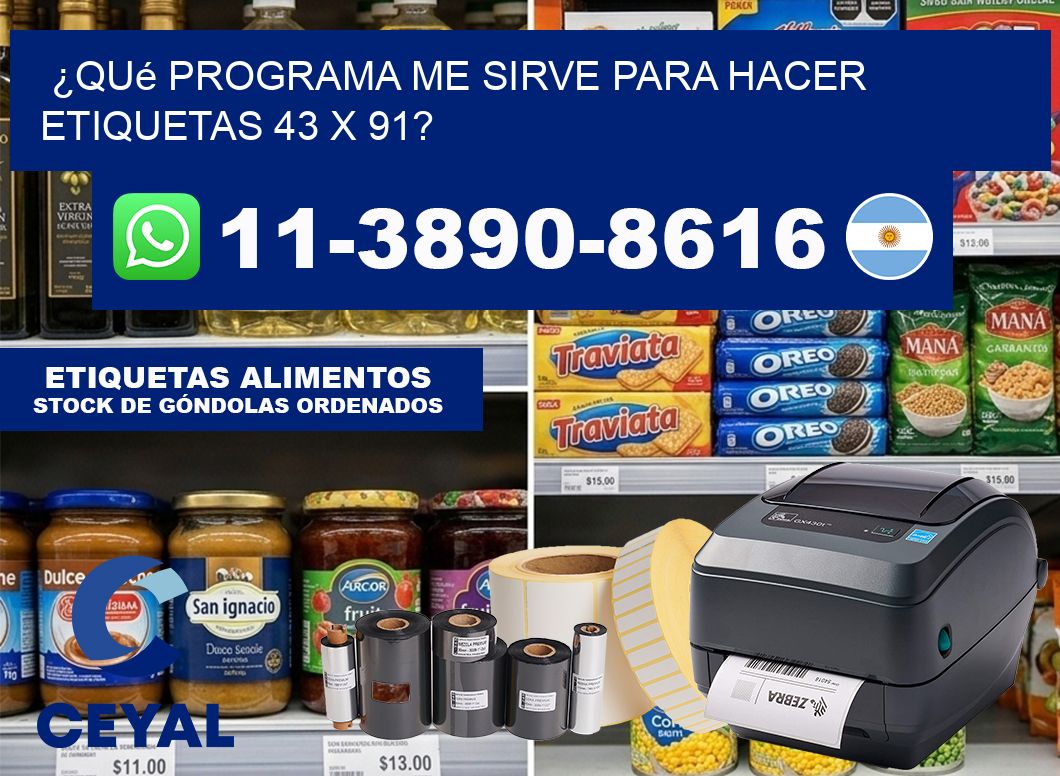 ¿Qué programa me sirve para hacer etiquetas 43 x 91?