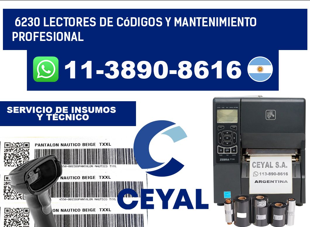 6230 Lectores de Códigos y Mantenimiento Profesional