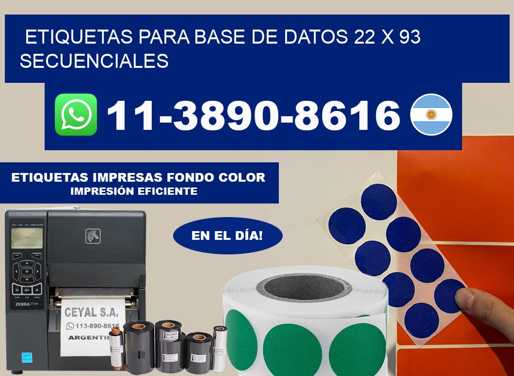 etiquetas para base de datos 22 x 93 secuenciales