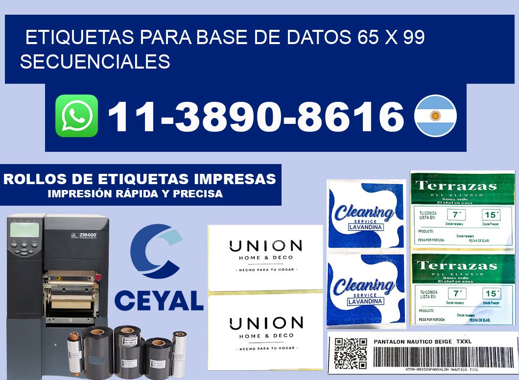 etiquetas para base de datos 65 x 99 secuenciales