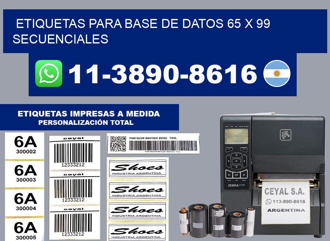 etiquetas para base de datos 65 x 99 secuenciales