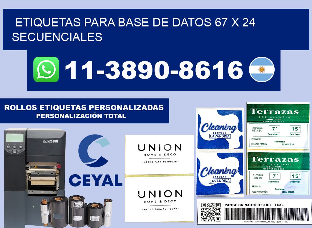 etiquetas para base de datos 67 x 24 secuenciales