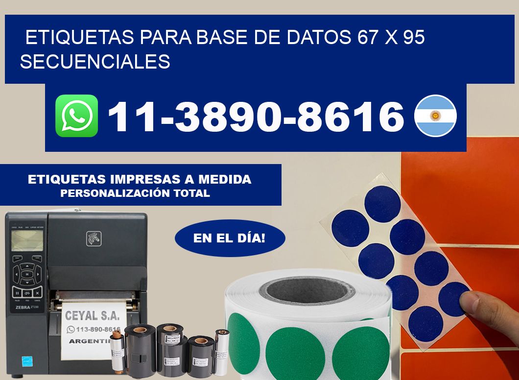etiquetas para base de datos 67 x 95 secuenciales