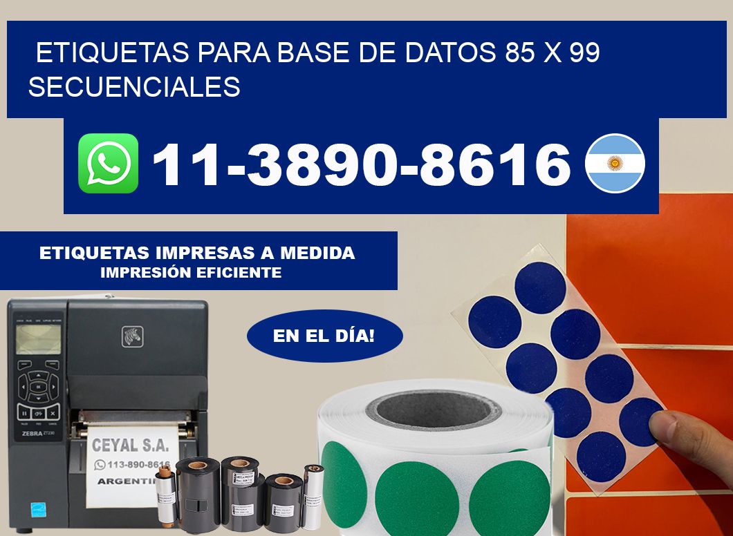 etiquetas para base de datos 85 x 99 secuenciales