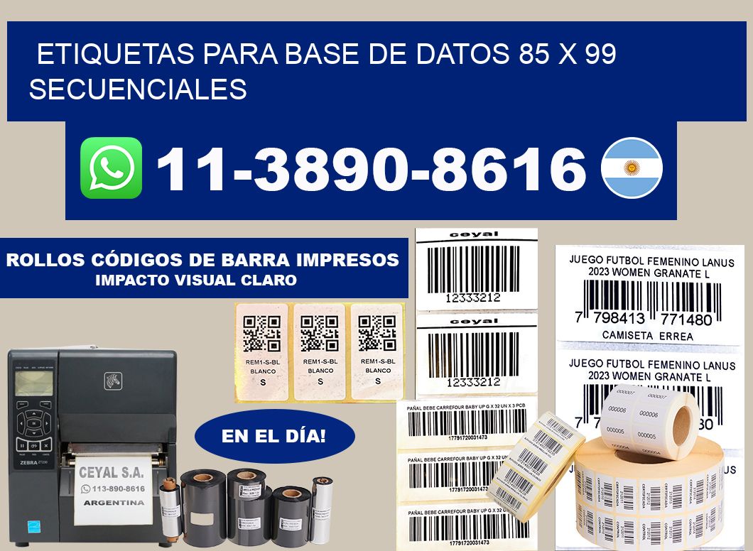 etiquetas para base de datos 85 x 99 secuenciales