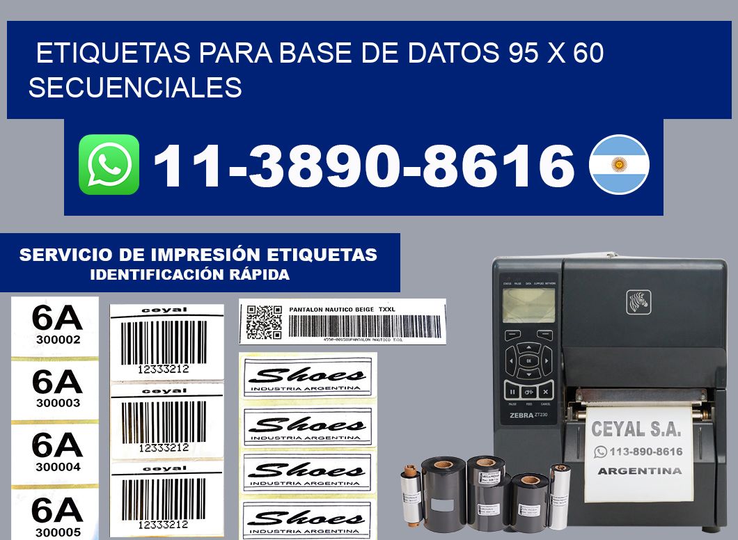 etiquetas para base de datos 95 x 60 secuenciales