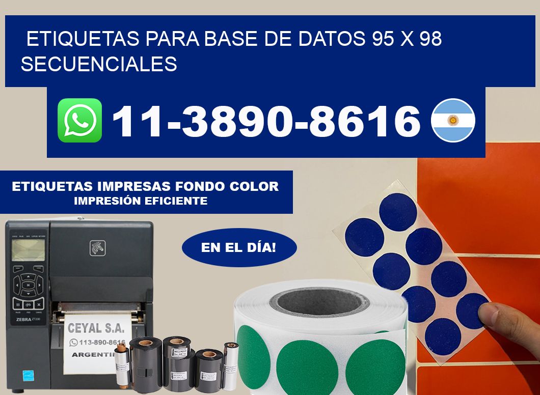 etiquetas para base de datos 95 x 98 secuenciales