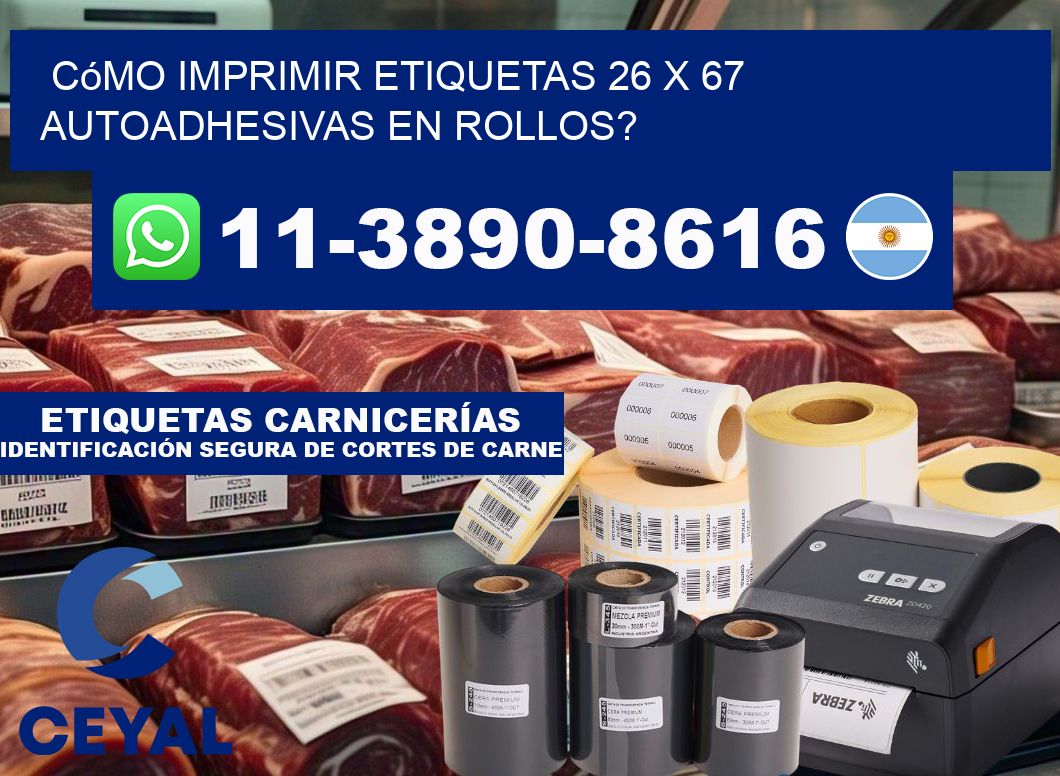 Cómo imprimir etiquetas 26 x 67 autoadhesivas en rollos?