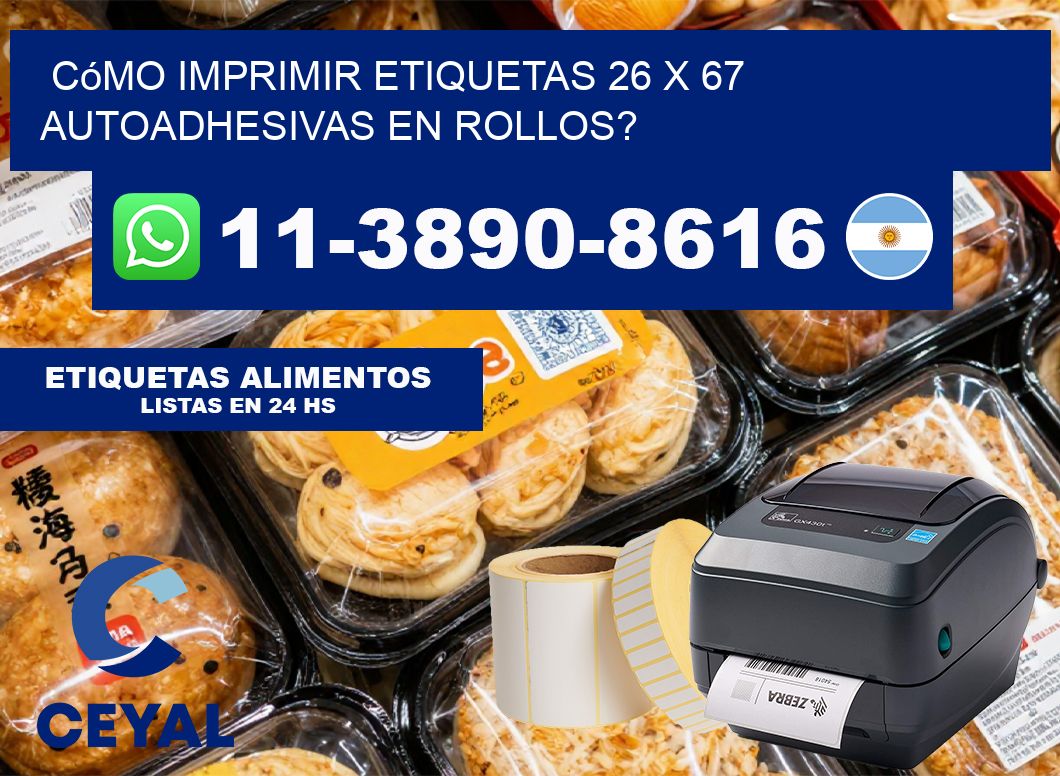 Cómo imprimir etiquetas 26 x 67 autoadhesivas en rollos?