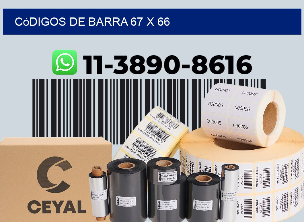 códigos de barra 67 x 66