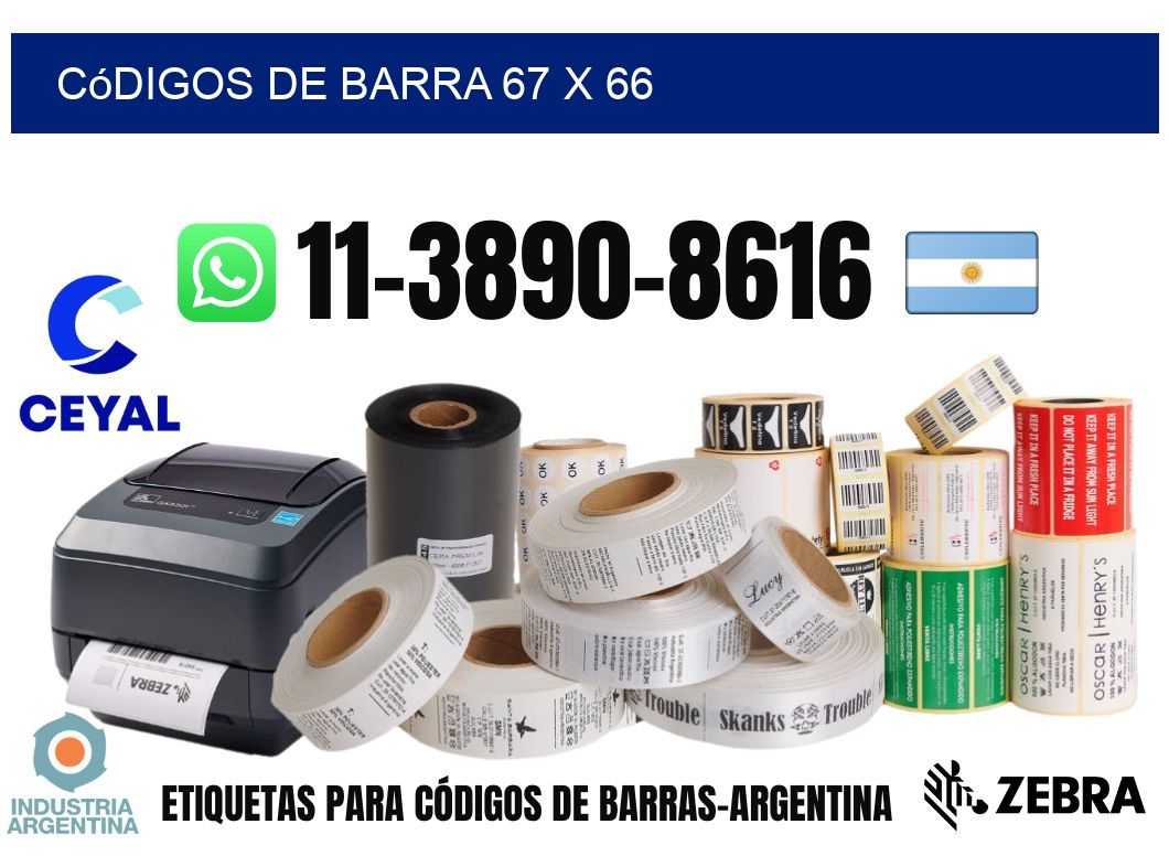 códigos de barra 67 x 66