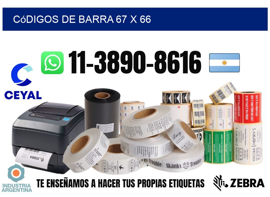 códigos de barra 67 x 66