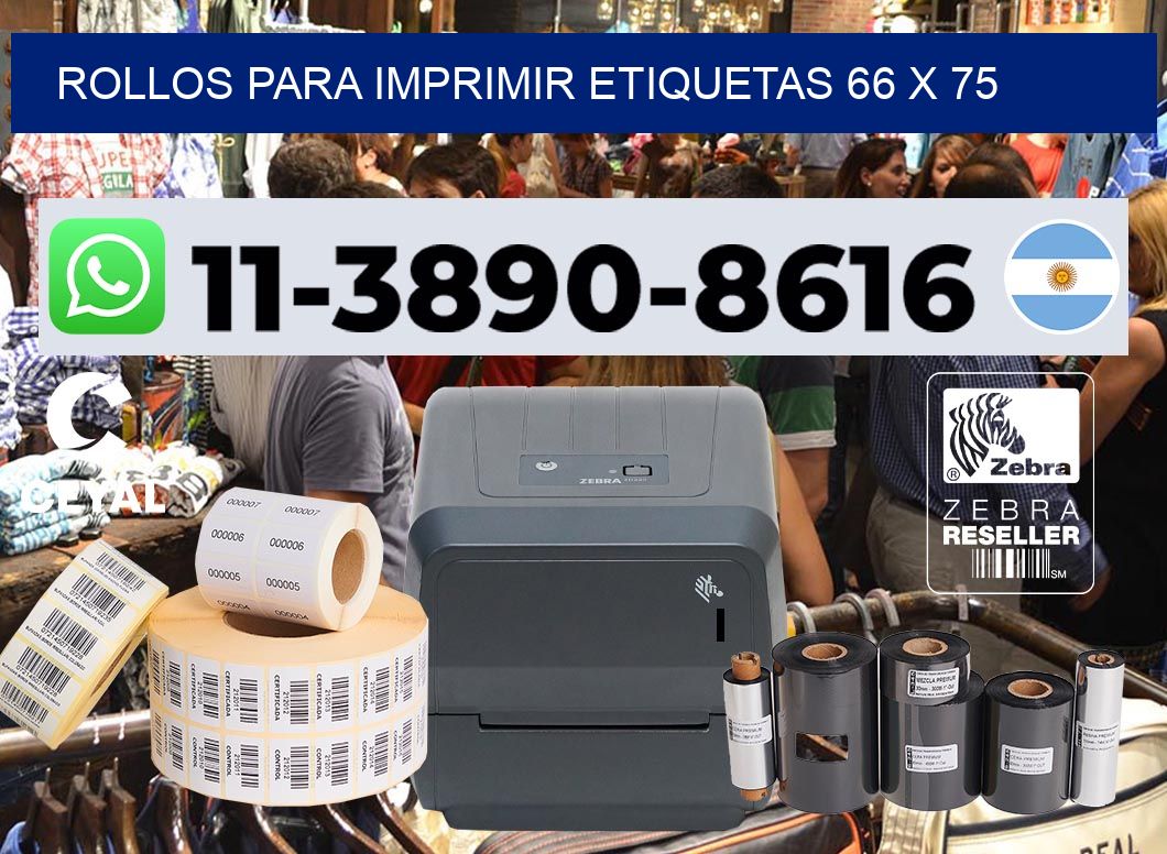 rollos para imprimir etiquetas 66 x 75